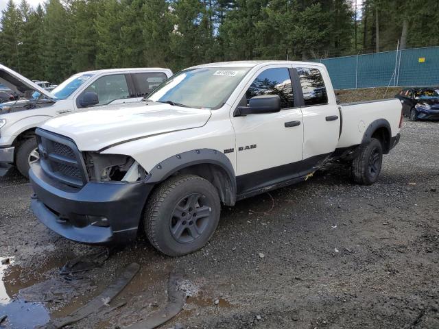 Lot #2540653028 2009 DODGE RAM 1500 salvage car