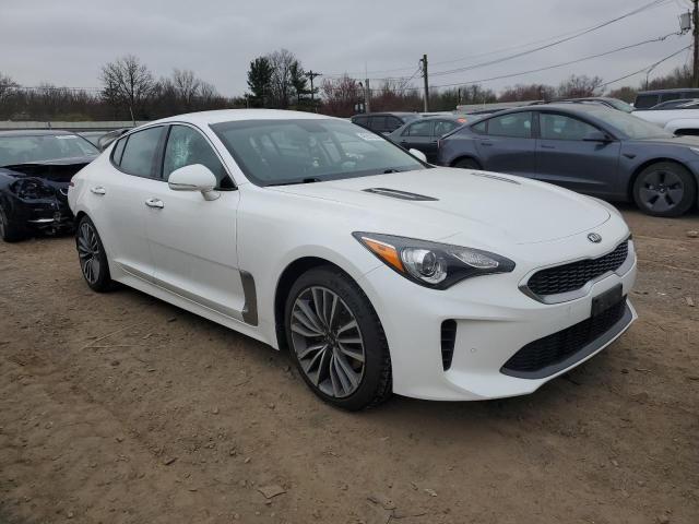 2019 Kia Stinger VIN: KNAE15LA5K6047493 Lot: 48553554