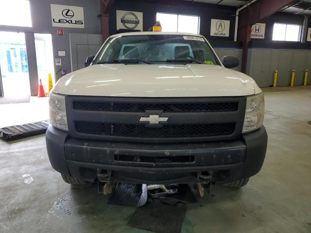 1GCPKPE06AZ232786 | 2010 Chevrolet silverado k1500