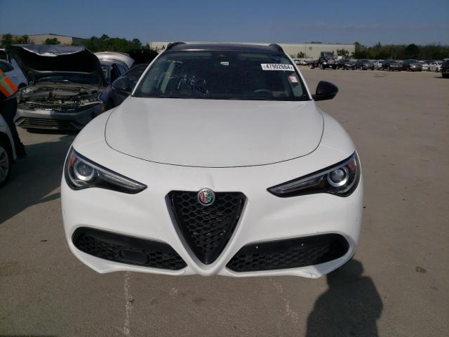 2019 Alfa Romeo Stelvio VIN: ZASPAJAN4K7C36860 Lot: 47902664