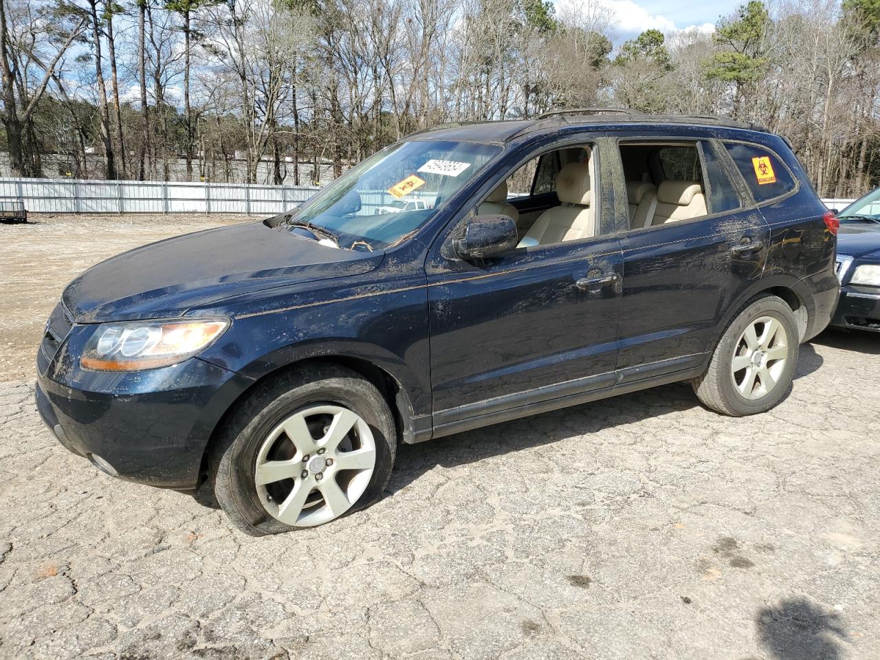 5NMSH13E47H022687 2007 Hyundai Santa Fe Se