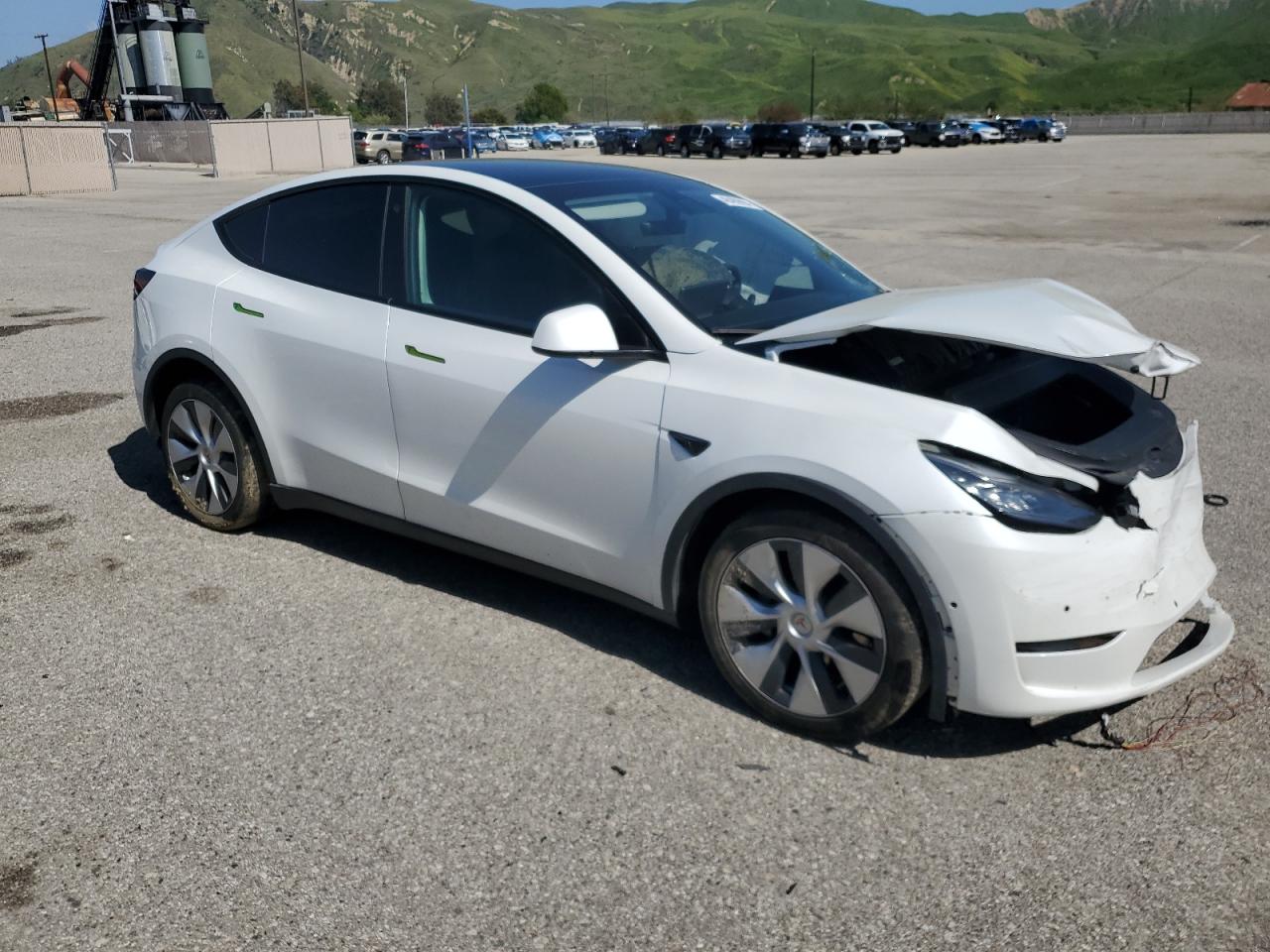 Lot #2501404085 2021 TESLA MODEL Y