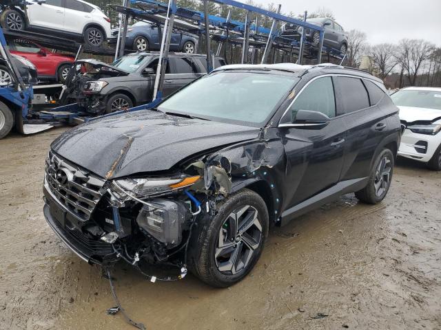 2023 Hyundai Tucson Limited VIN: KM8JECA13PU134045 Lot: 45498754