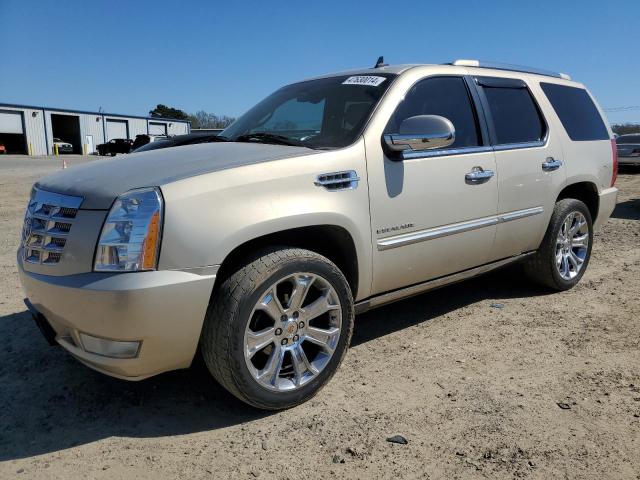 2010 Cadillac Escalade Premium VIN: 1GYUKCEF9AR264626 Lot: 47630014