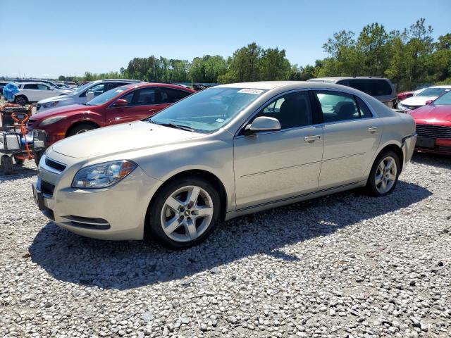 Lot #2421460156 2010 CHEVROLET MALIBU 1LT salvage car