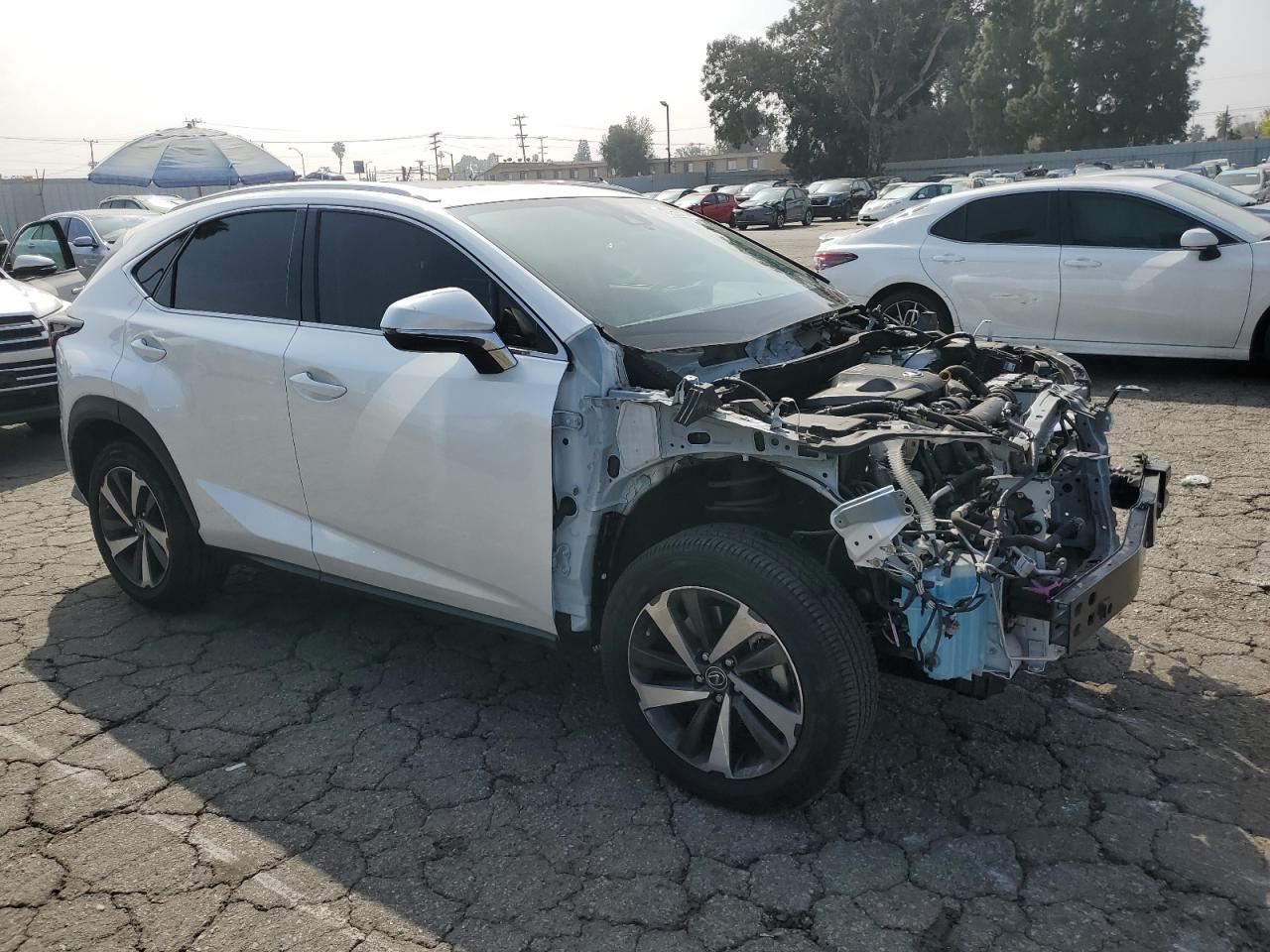 Lot #2508157293 2020 LEXUS NX 300