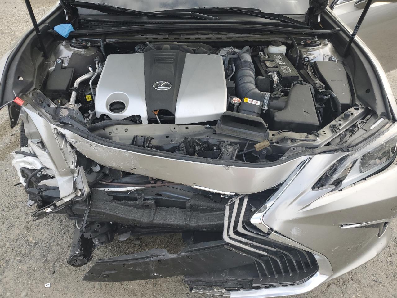 58ABZ1B1XKU035624 2019 Lexus Es 350