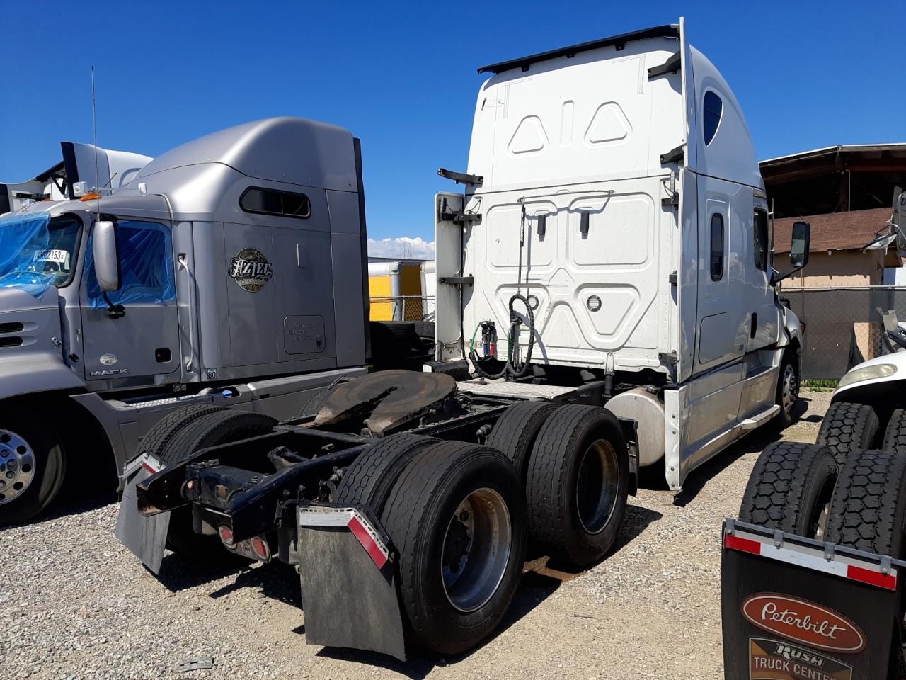 Lot #2505796458 2021 FREIGHTLINER CASCADIA 1