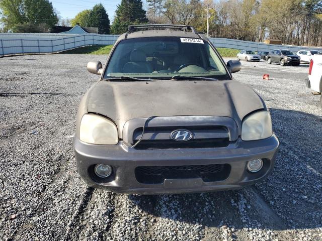2005 Hyundai Santa Fe Gls VIN: KM8SC73EX5U890258 Lot: 48794214