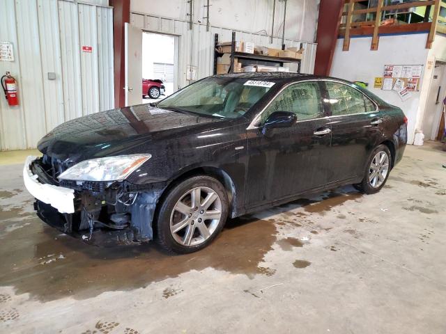 Lot #2501154262 2008 LEXUS ES350 salvage car