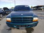 DODGE DAKOTA photo