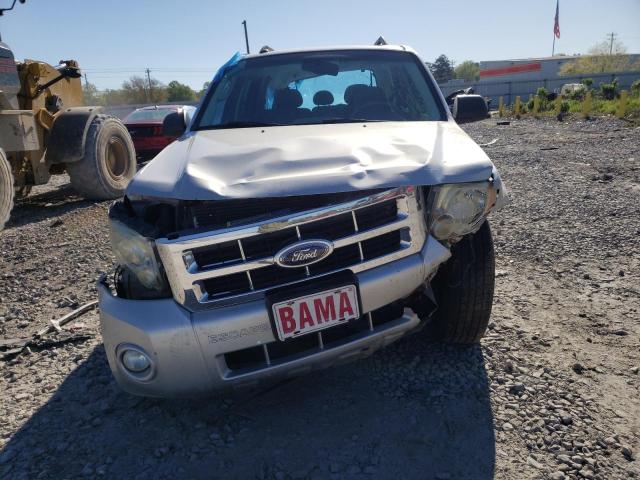 2009 Ford Escape Xlt VIN: 1FMCU037X9KA58785 Lot: 48340144