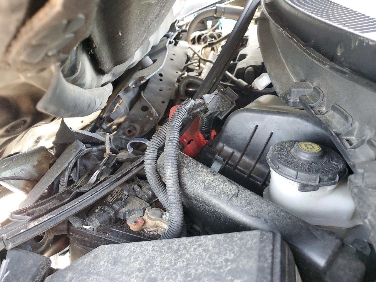 19XFB2F50EE242370 2014 Honda Civic Lx