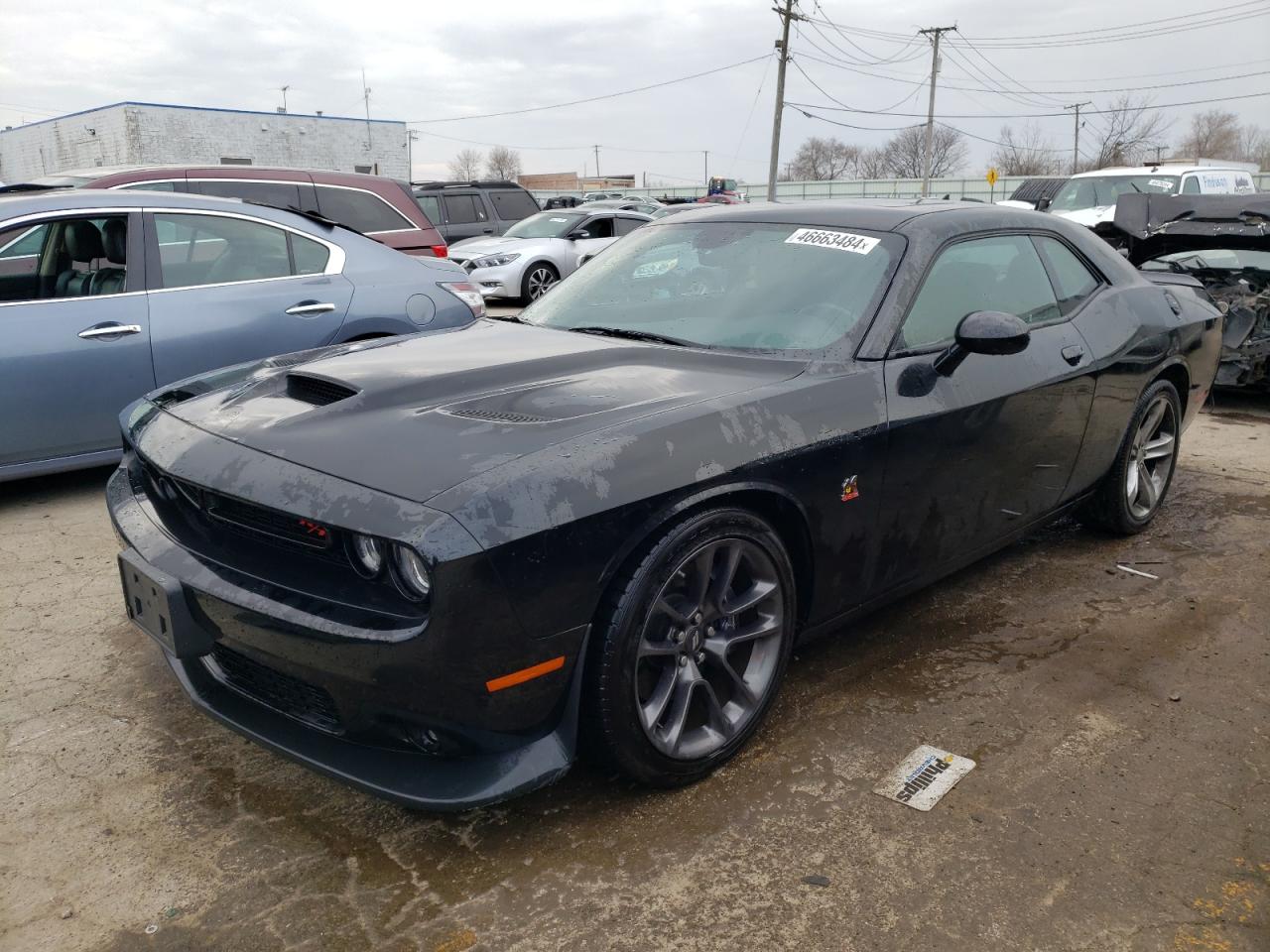 Lot #2962538798 2022 DODGE CHALLENGER