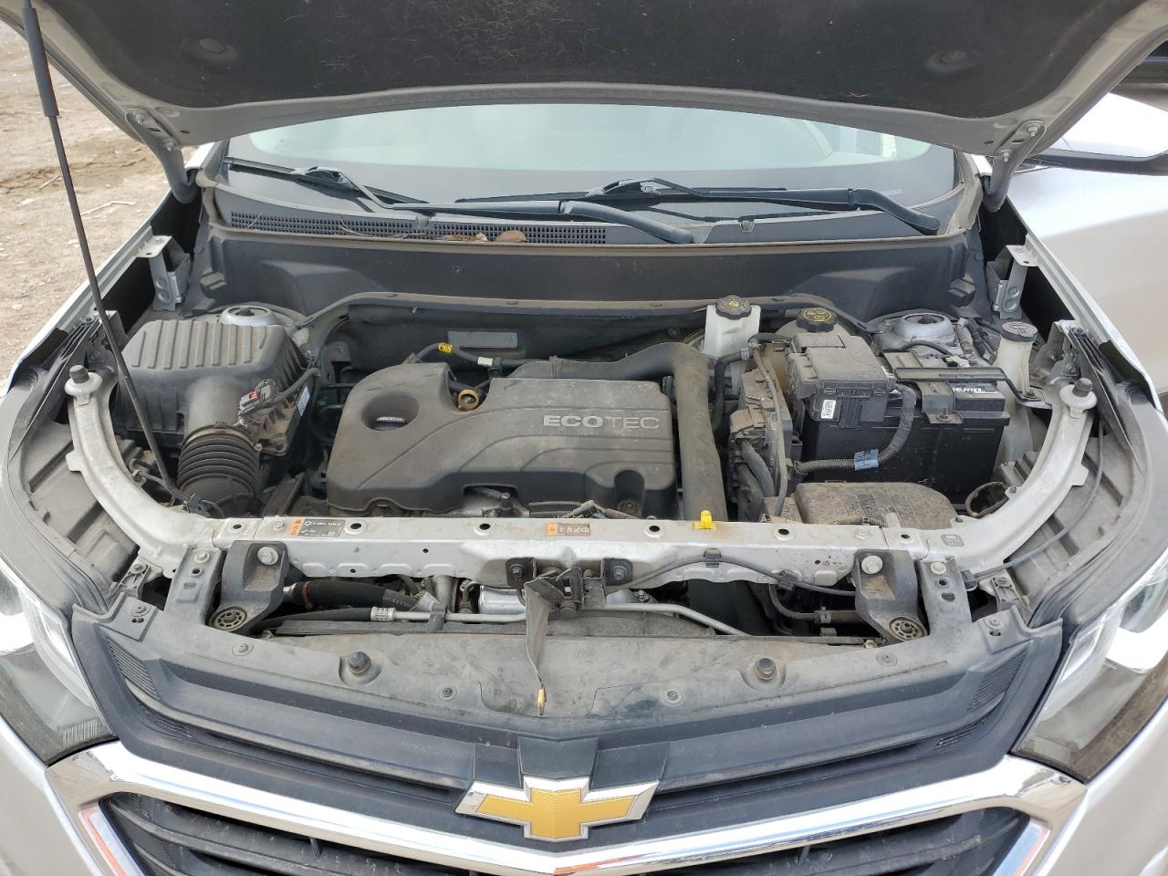 2GNAXJEV8K6151440 2019 Chevrolet Equinox Lt