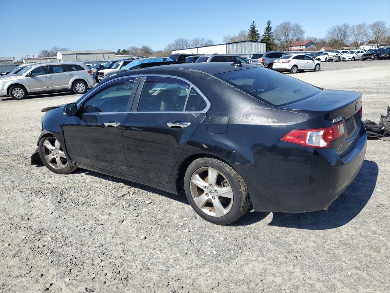 Lot #3038917581 2009 ACURA TSX