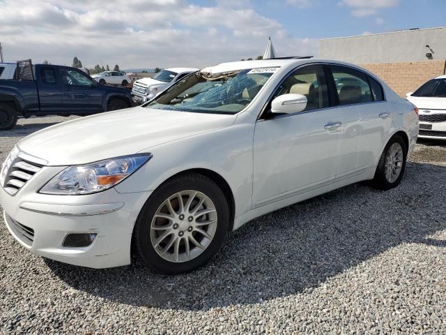 2009 Hyundai Genesis 3.8L VIN: KMHGC46E29U048651 Lot: 45422414