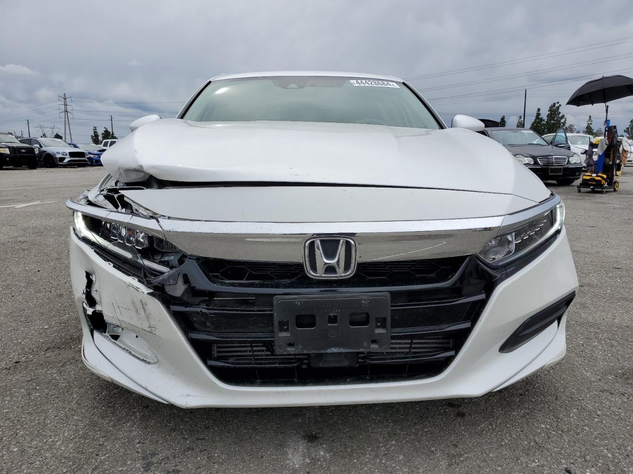 2019 Honda Accord Lx vin: 1HGCV1F17KA031801