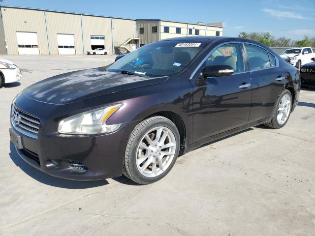 Lot #2461254812 2010 NISSAN MAXIMA S salvage car