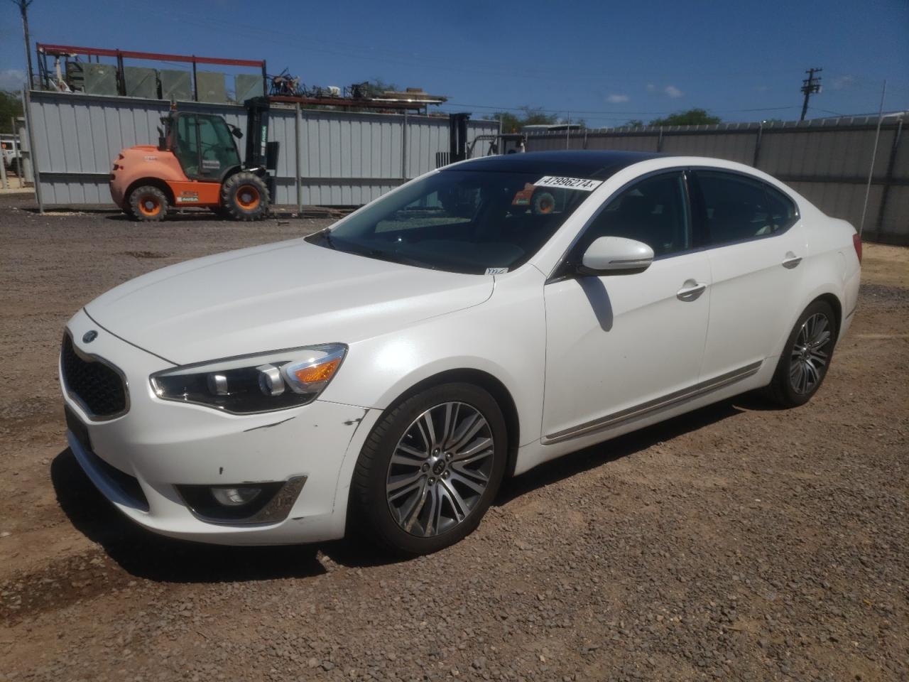 KNALN4D70E5121664 2014 Kia Cadenza Premium