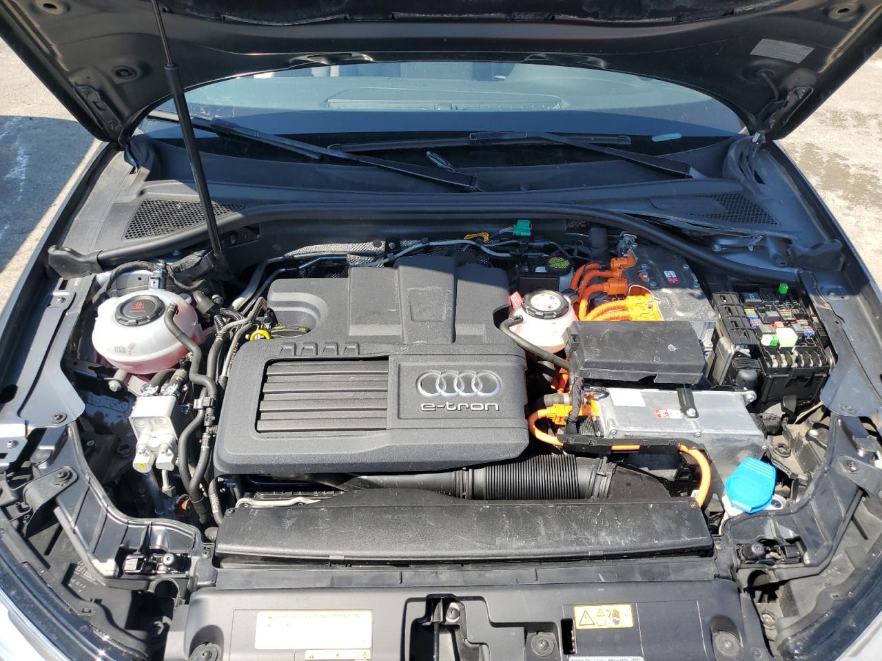 Фото: WAUUPBFF1JA100024 - 11