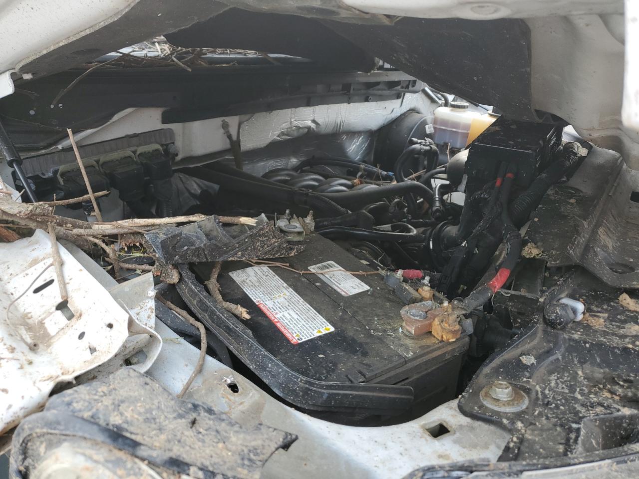 1FTFW1CF6DFB31516 2013 Ford F150 Supercrew