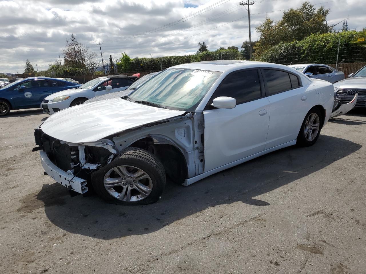 2C3CDXBG8KH695478 2019 Dodge Charger Sxt