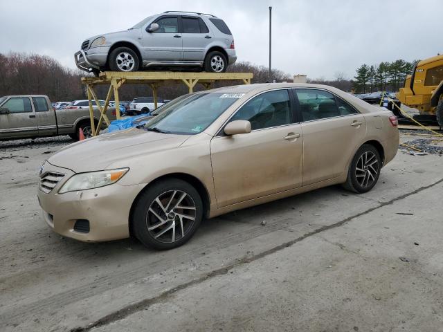 Lot #2537460501 2010 TOYOTA CAMRY BASE salvage car
