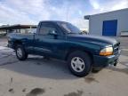 DODGE DAKOTA photo