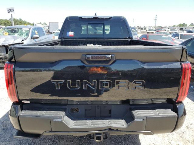 2023 Toyota Tundra Double Cab Sr VIN: 5TFLA5AA0PX025013 Lot: 48259394