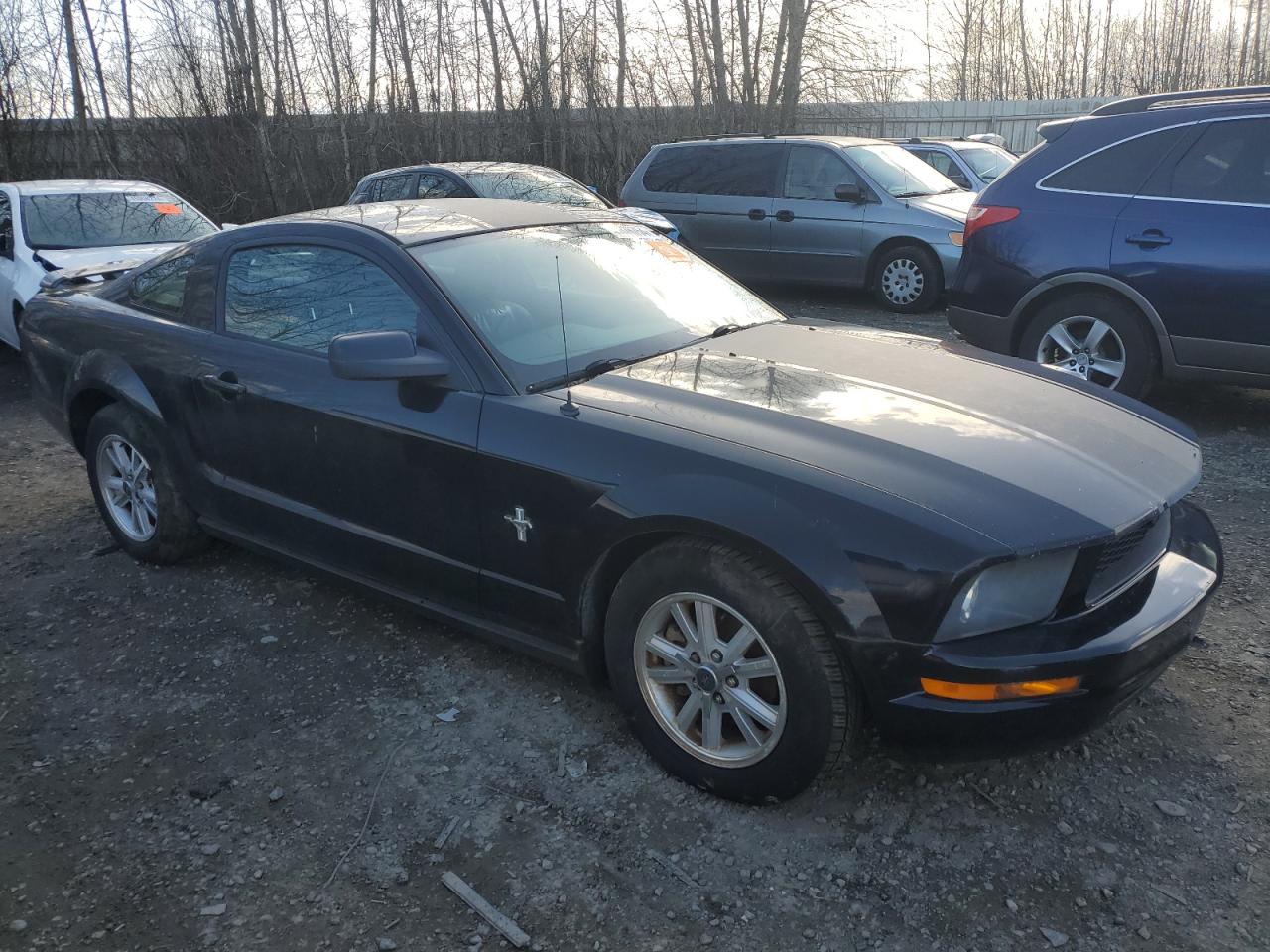 1ZVHT80N265106379 2006 Ford Mustang