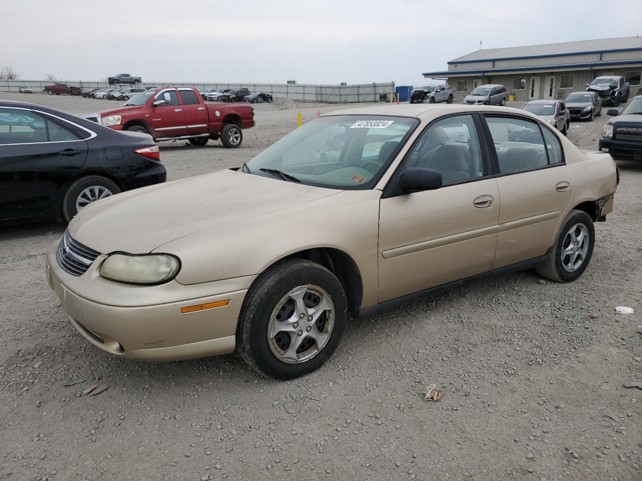 1G1ND52J43M556542 2003 Chevrolet Malibu