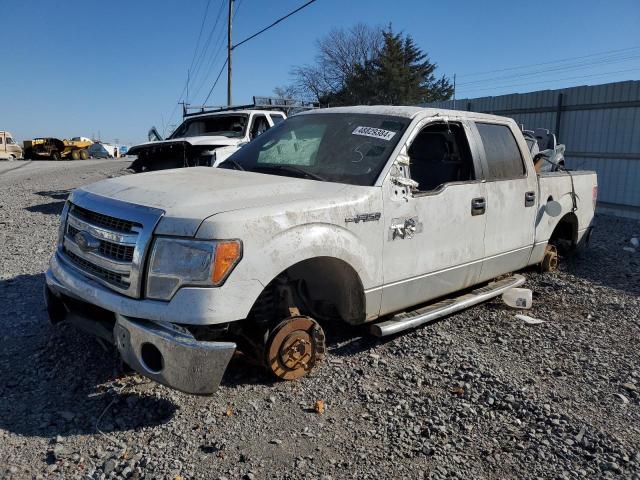 Lot #2440637023 2013 FORD F150 SUPER salvage car