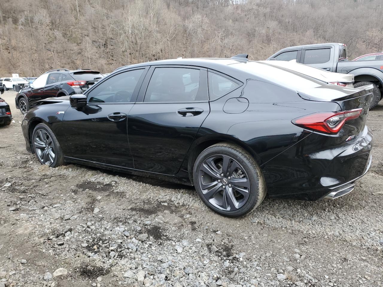 Lot #2438427556 2023 ACURA TLX A-SPEC