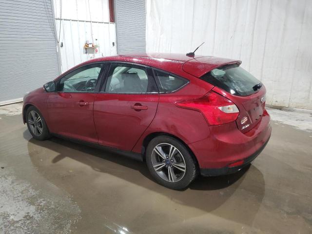 2014 Ford Focus - Image 2