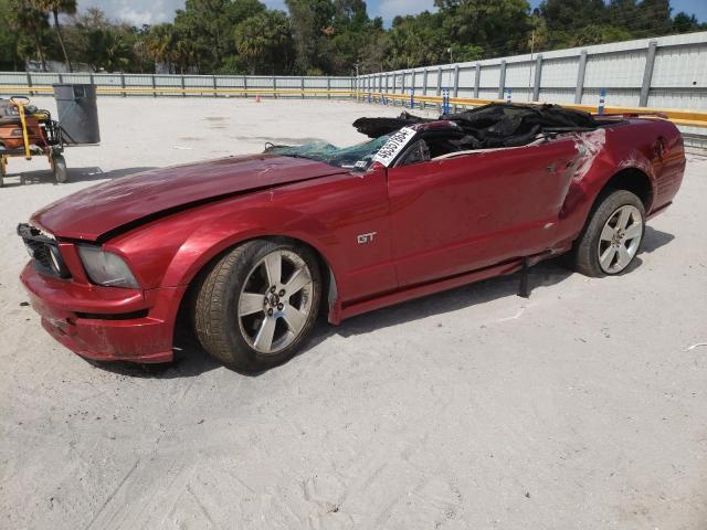 Lot #2425934415 2006 FORD MUSTANG GT salvage car