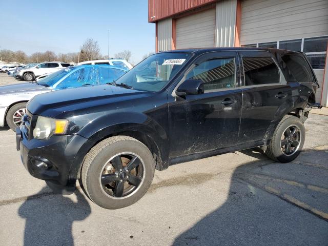 Lot #2429247651 2010 FORD ESCAPE XLT salvage car