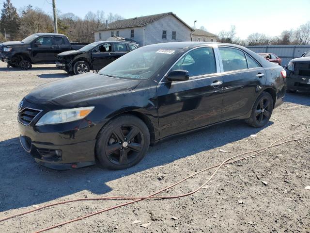 Lot #2477350442 2010 TOYOTA CAMRY BASE salvage car