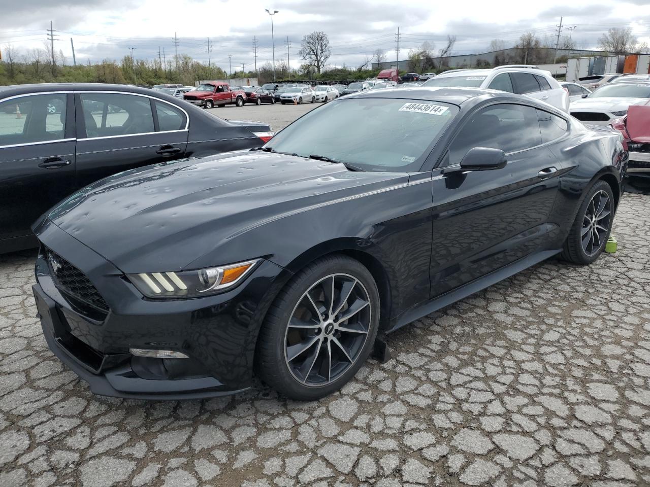 Lot #2489908792 2017 FORD MUSTANG