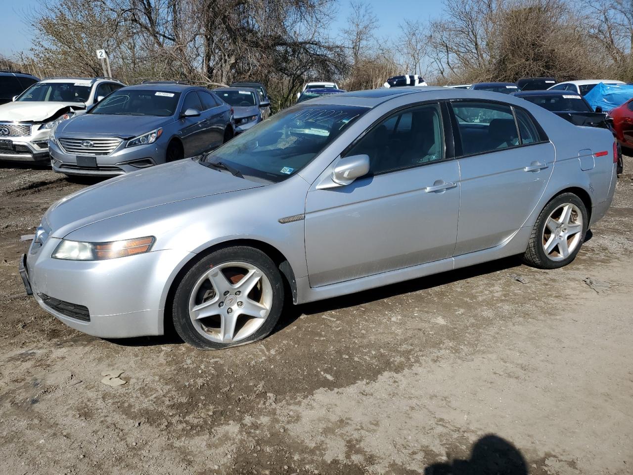 19uua66276a018008 19UUA66276A018008 2006 Acura 3.2Tl