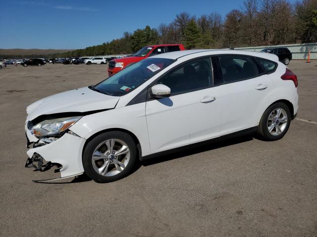 Lot #2396780187 2014 FORD FOCUS SE salvage car