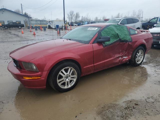 Lot #2468983708 2005 FORD MUSTANG 2D salvage car