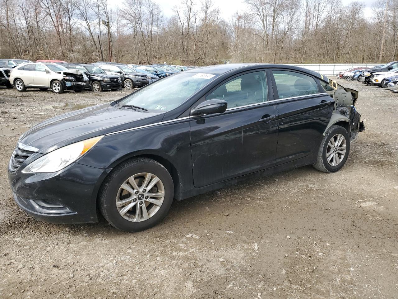 5NPEB4AC5DH785821 2013 Hyundai Sonata Gls