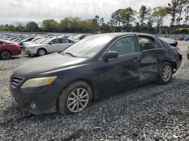 Lot #2461805451 2010 TOYOTA CAMRY BASE salvage car