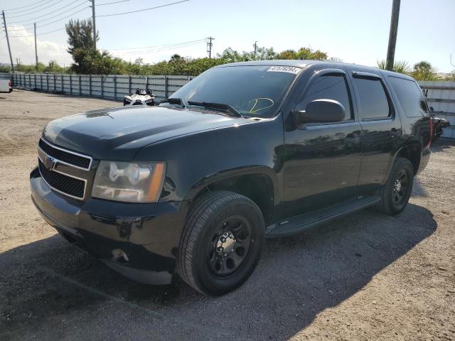 Lot #2406646425 2011 CHEVROLET TAHOE POLI salvage car