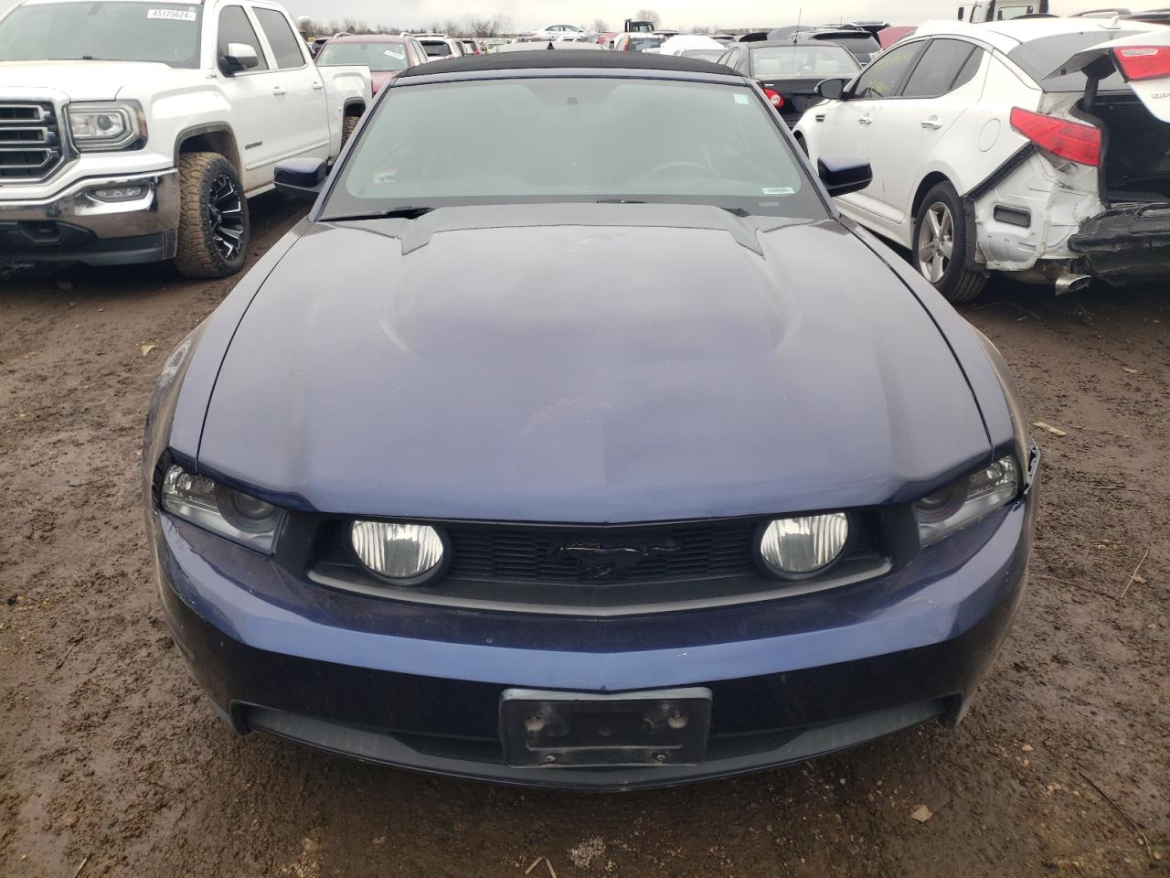 Lot #2380997016 2010 FORD MUSTANG GT