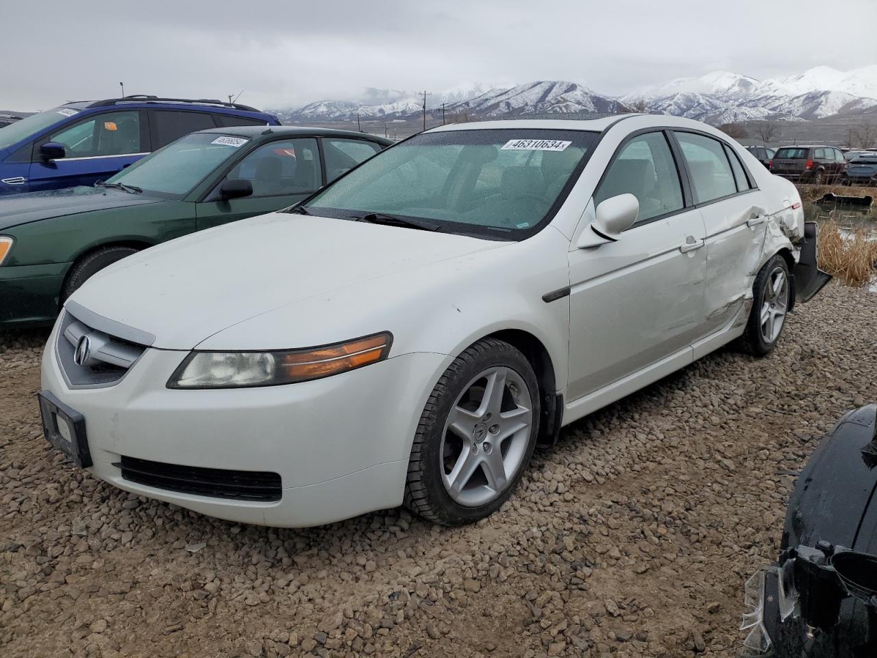 19UUA66236A039874 2006 Acura 3.2Tl