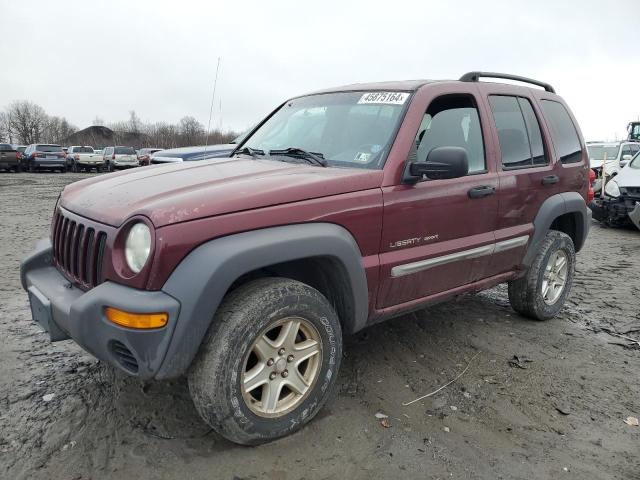 2002 Jeep Liberty Sport VIN: 1J4GL48K32W227213 Lot: 45875164