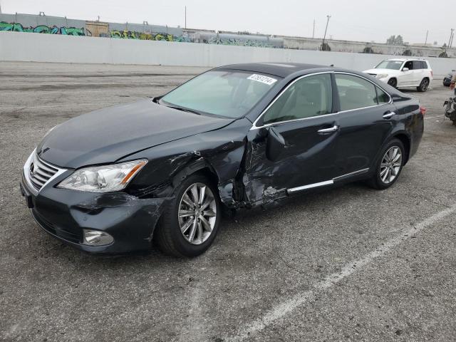 Lot #2435707914 2011 LEXUS ES 350 salvage car