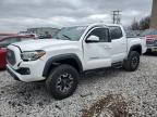 TOYOTA TACOMA DOU photo